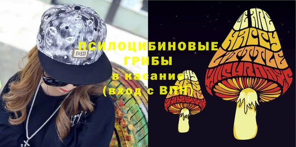 ПСИЛОЦИБИНОВЫЕ ГРИБЫ Алексеевка