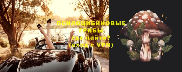 дживик Алексин