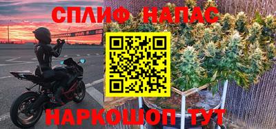 прущая мука Пугачёв