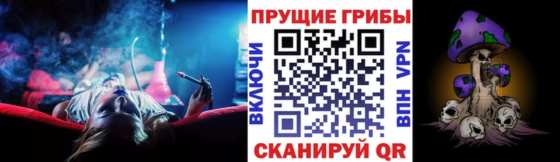 Галлюциногенные грибы MAGIC MUSHROOMS  купить  сайты  Санкт-Петербург 