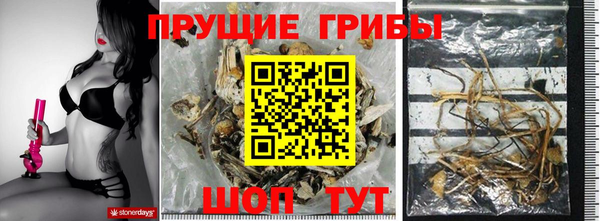 Галлюциногенные грибы мицелий  Вход с VPN  купить закладку  Санкт-Петербург  Галлюциногенные грибы Psilocybe 